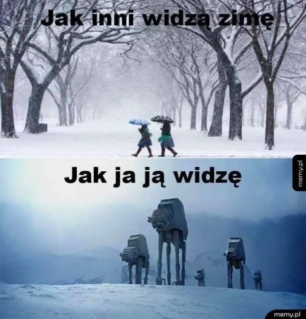 Memy na zimę