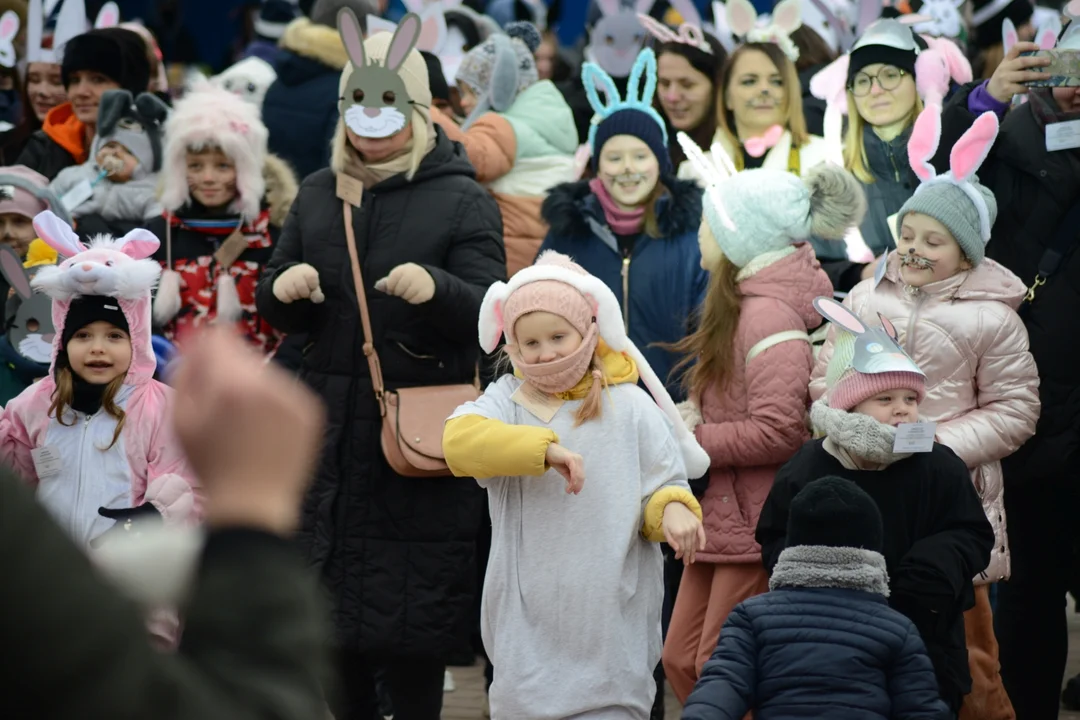 Rekord Polski dla Bartoszka Jędrasika chorego na SMA. W Tarnobrzegu zgromadziło się ponad 500 osób przebranych za króliki