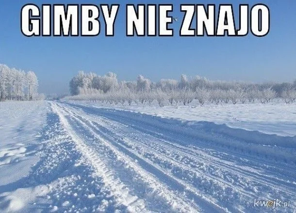 Memy na zimę