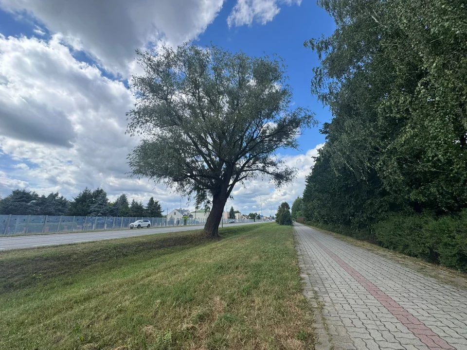 W kierunku centrum