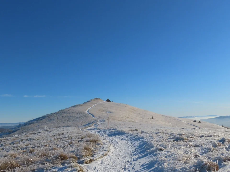 Bieszczady. Połonina Wetlińska