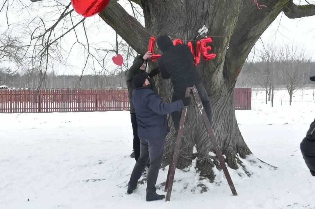 Walentynki pod Drzewem Roku w Dulczy Wielkiej luty 2021