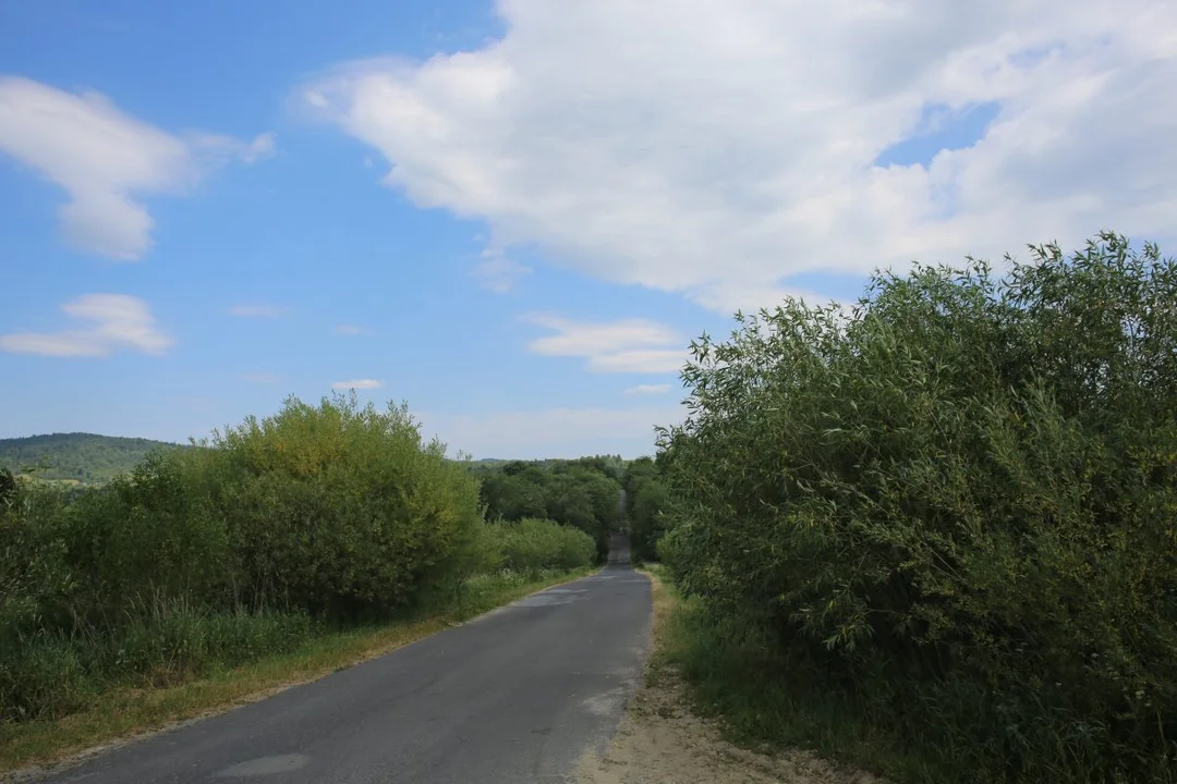 Tarnawa Niżna