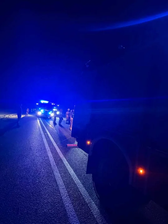 Zderzenie z dziką zwierzyną