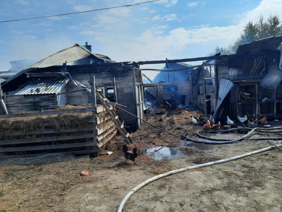 Pożar w Tajęcinie - skutki, zniszczenia