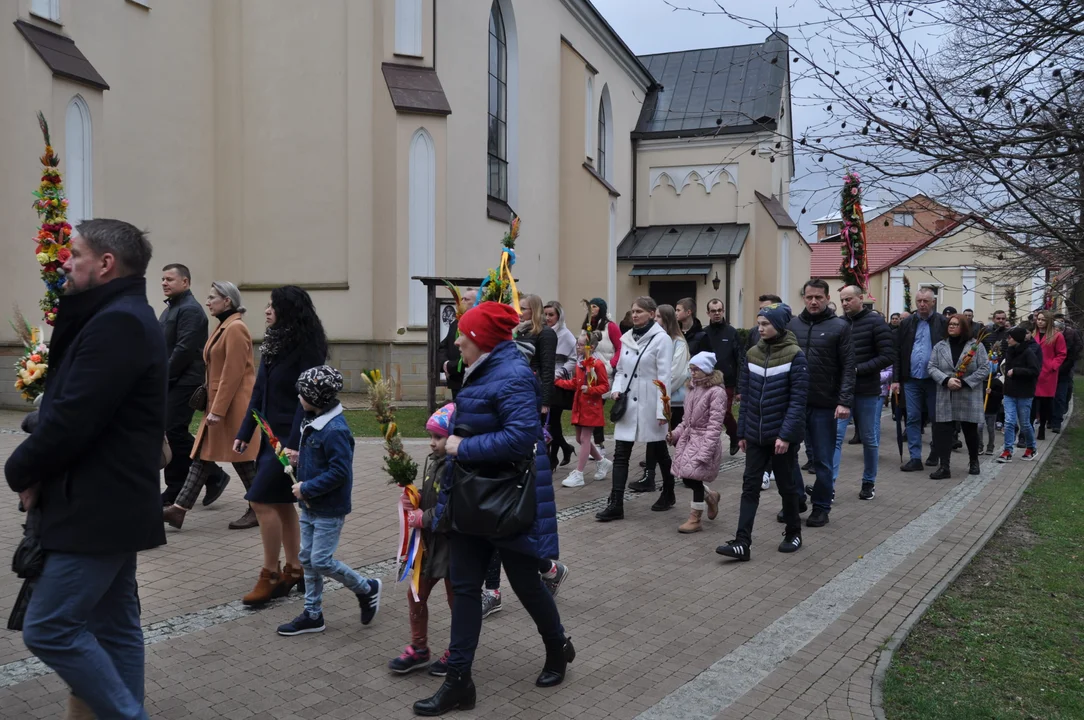 Parafianie w Przecławiu świętowali z pięknymi palmami własnego wykonania