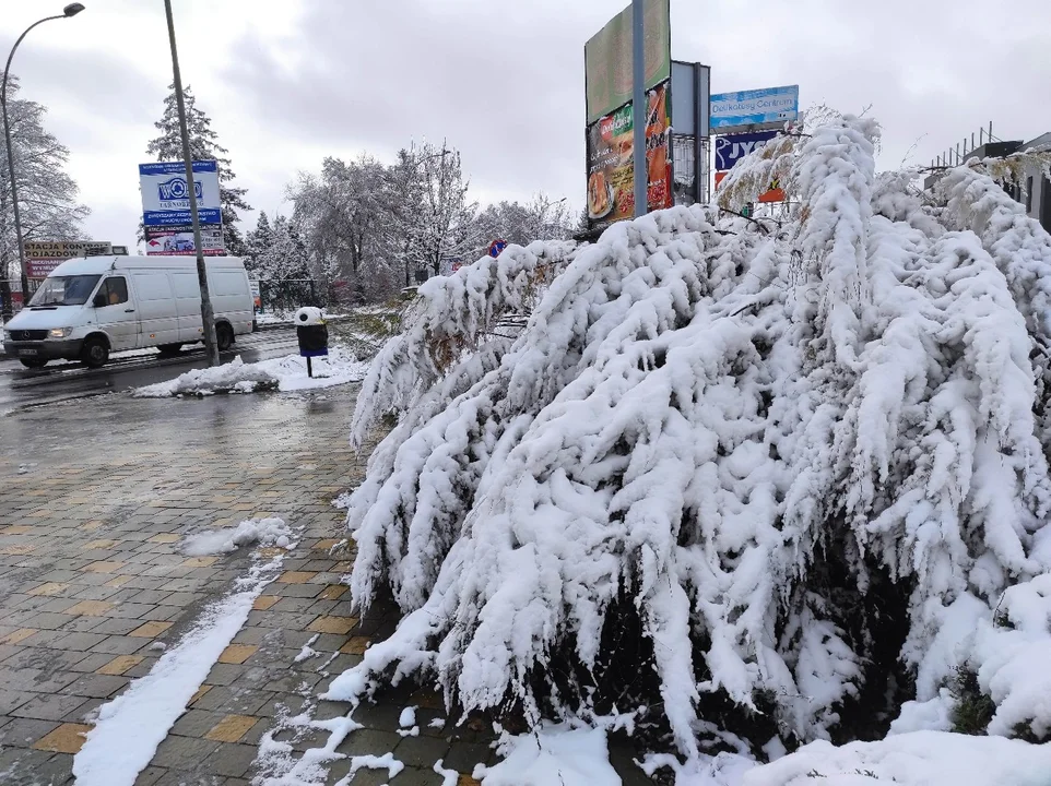 Zima w Tarnobrzegu i Stalowej Woli. Służby drogowe odśnieżają miasta [ZDJĘCIA] - Zdjęcie główne