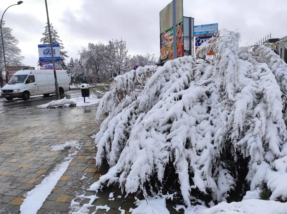 Tarnobrzeg i Stalowa Wola po opadach śniegu