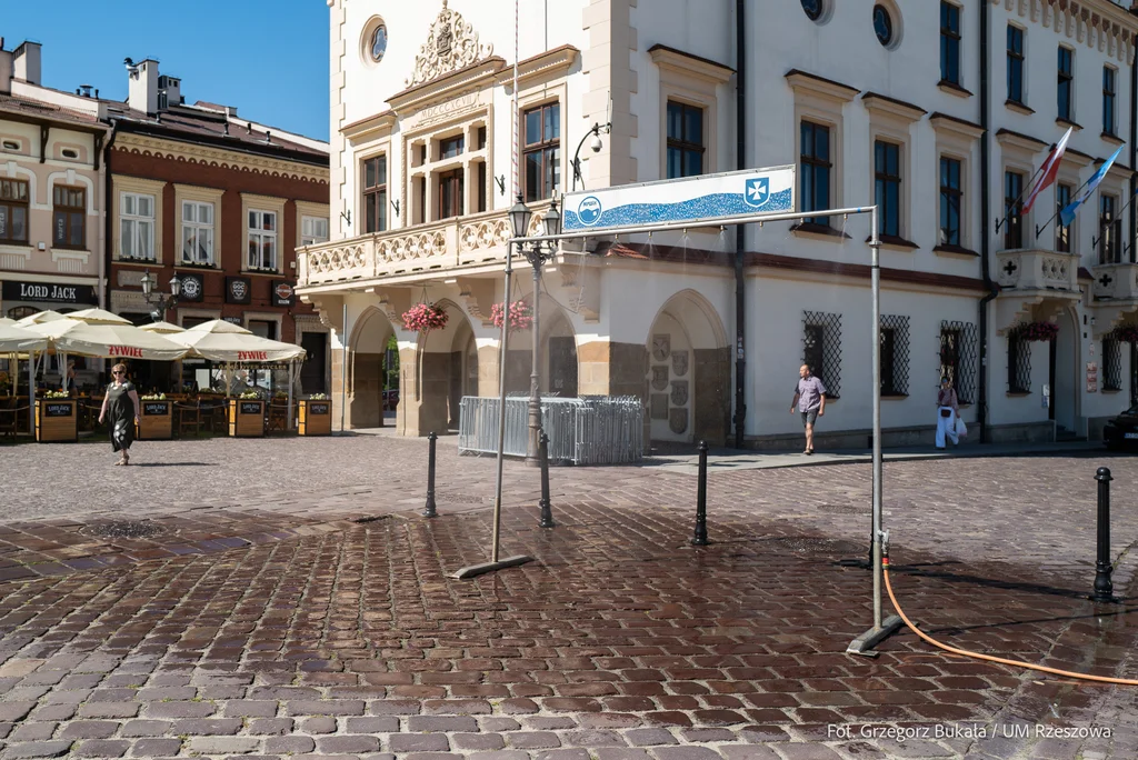 Rynek