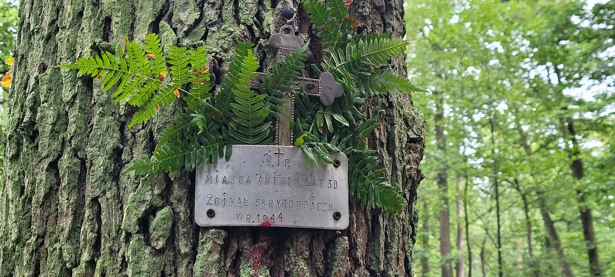 Ruszyły poszukiwania mogił ofiar obozu NKWD w Trzebusce – Nienadówka