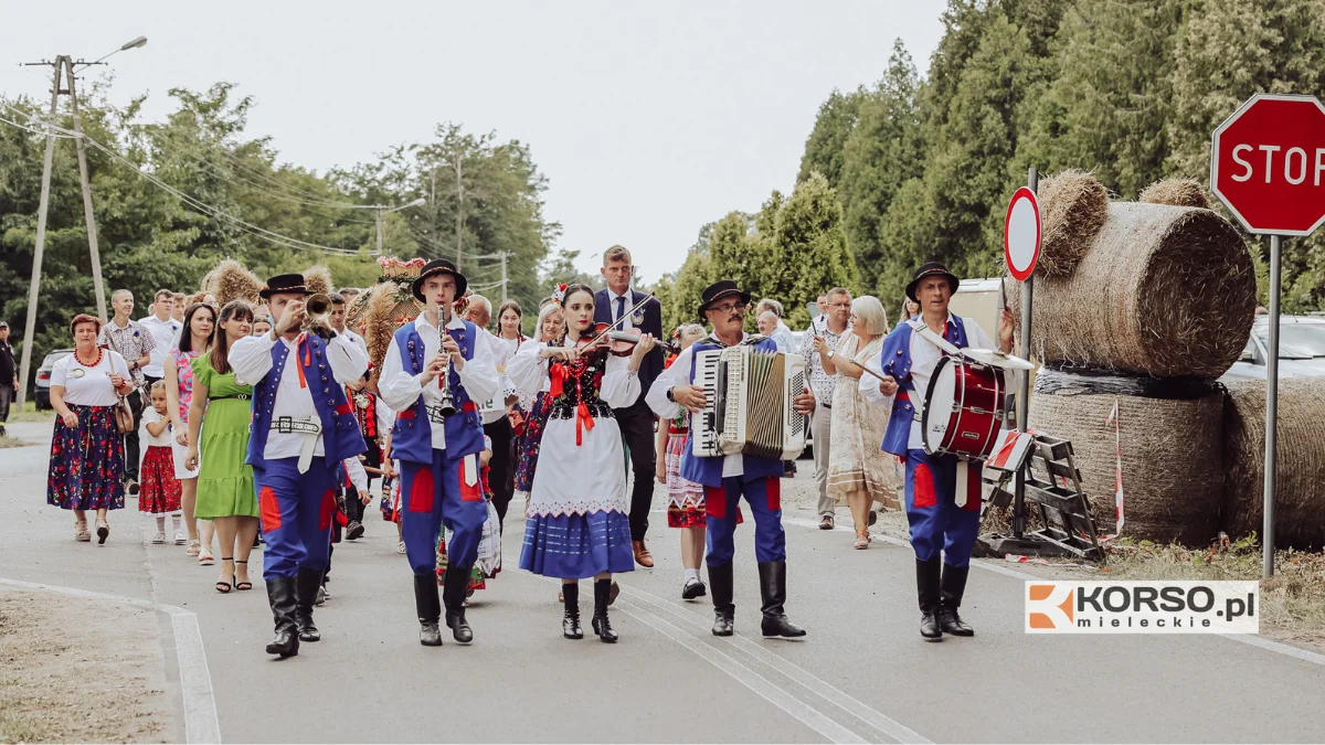 Dożynki Gminy Tuszów Narodowy w Borkach Nizińskich [ZDJĘCIA] - Zdjęcie główne