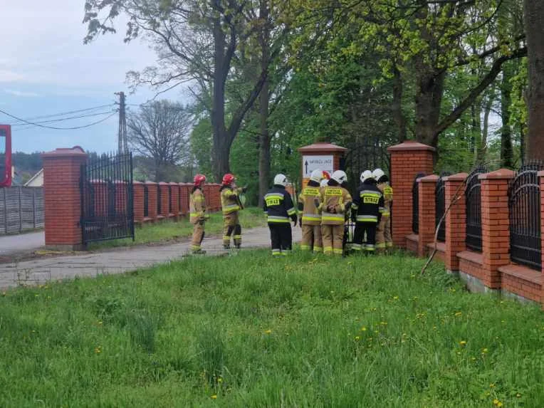 Nietypowa interwencja strażaków [ZDJĘCIA] - Zdjęcie główne