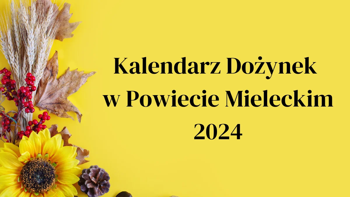 Gdzie i kiedy obędą się dożynki w powiecie mieleckim? [PLAKATY] - Zdjęcie główne