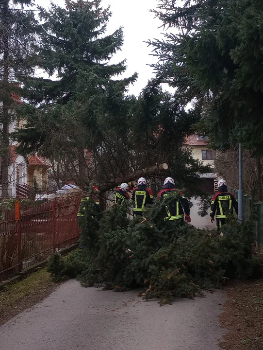 Straż Pożarna walczy ze skutkami silnego wiatru na Podkarpaciu