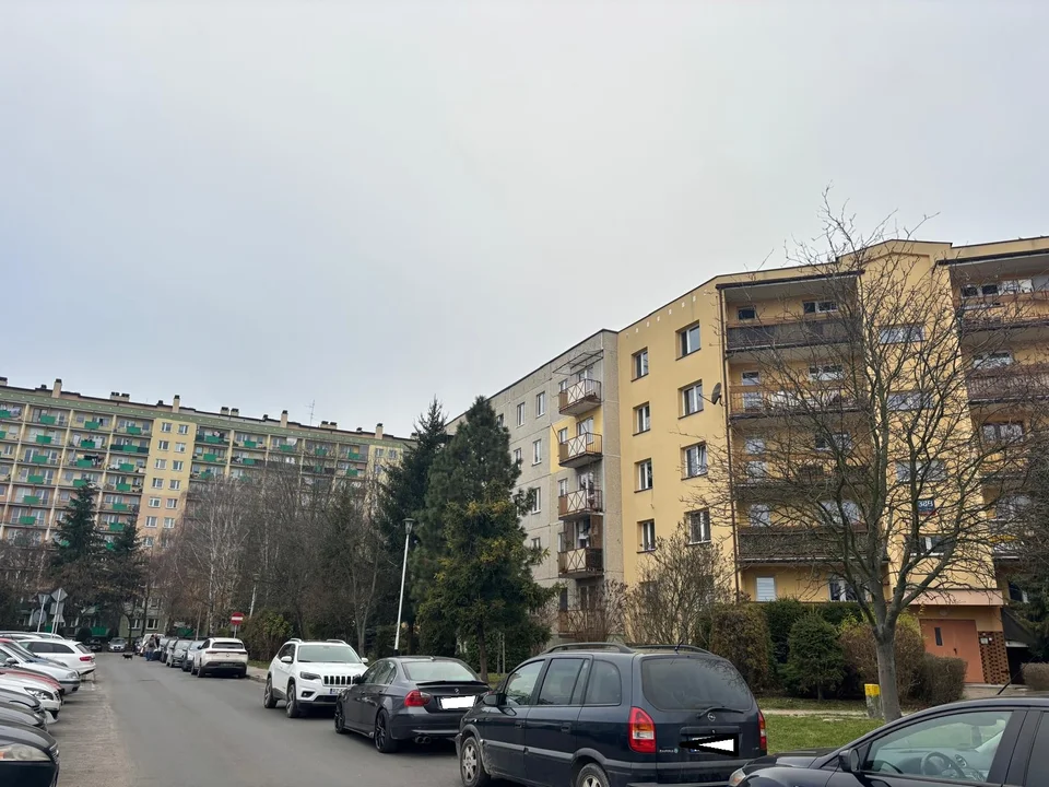 W tym miejscu na 100% dostaniesz mandat