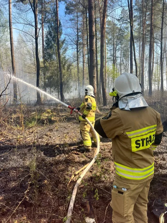 Pożar w Nowe Dębie - 03.05.2026 r.