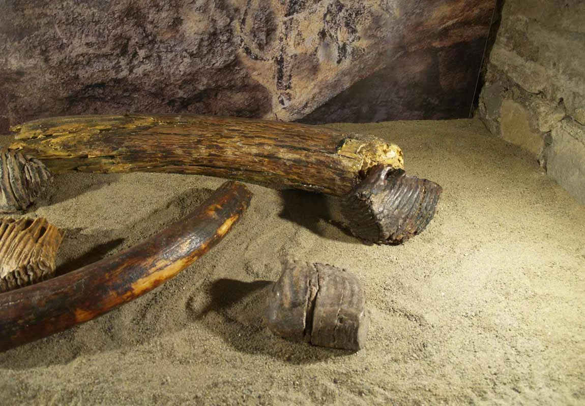 Muzeum Historyczne w Sanoku