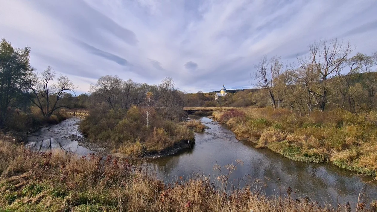 Meandrujący San w Sokolikach