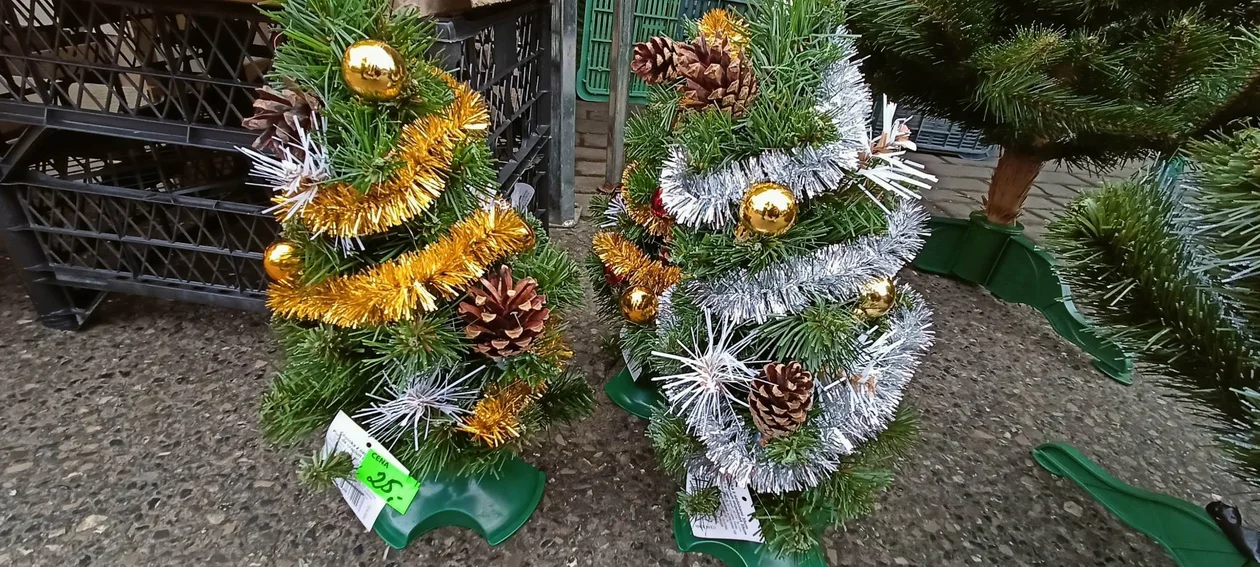 Choinki na targowisku przy hali targowej - jakie ceny