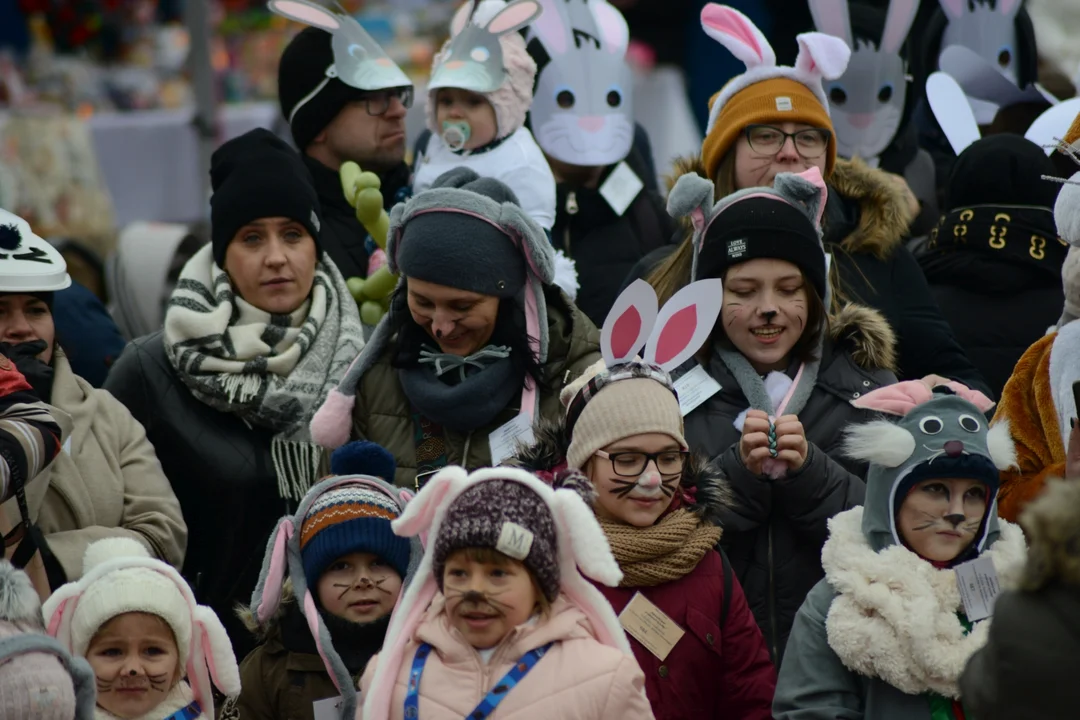 Rekord Polski dla Bartoszka Jędrasika chorego na SMA. W Tarnobrzegu zgromadziło się ponad 500 osób przebranych za króliki