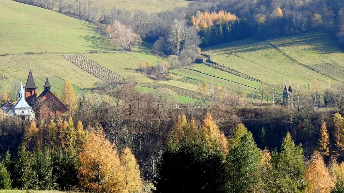 Terka późną jesienią