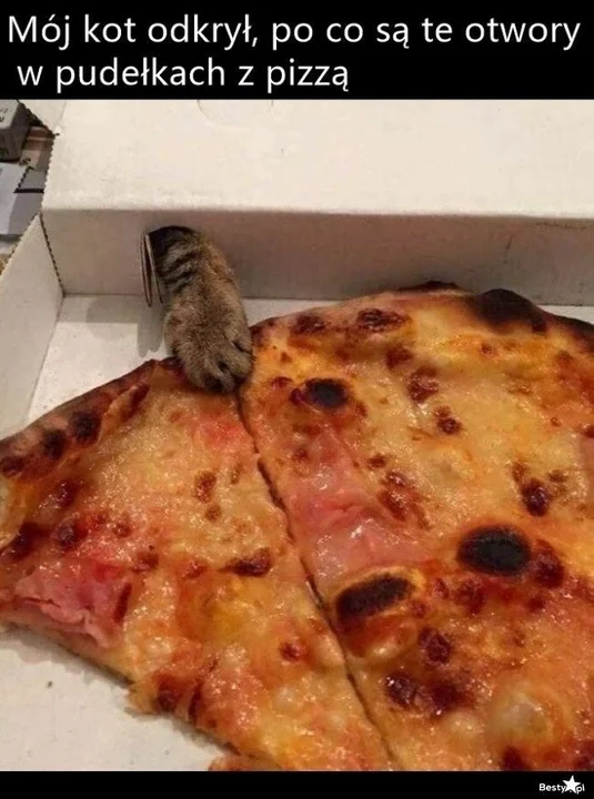 Międzynarodowy Dzień Pizzy - zobaczcie najlepsze memy