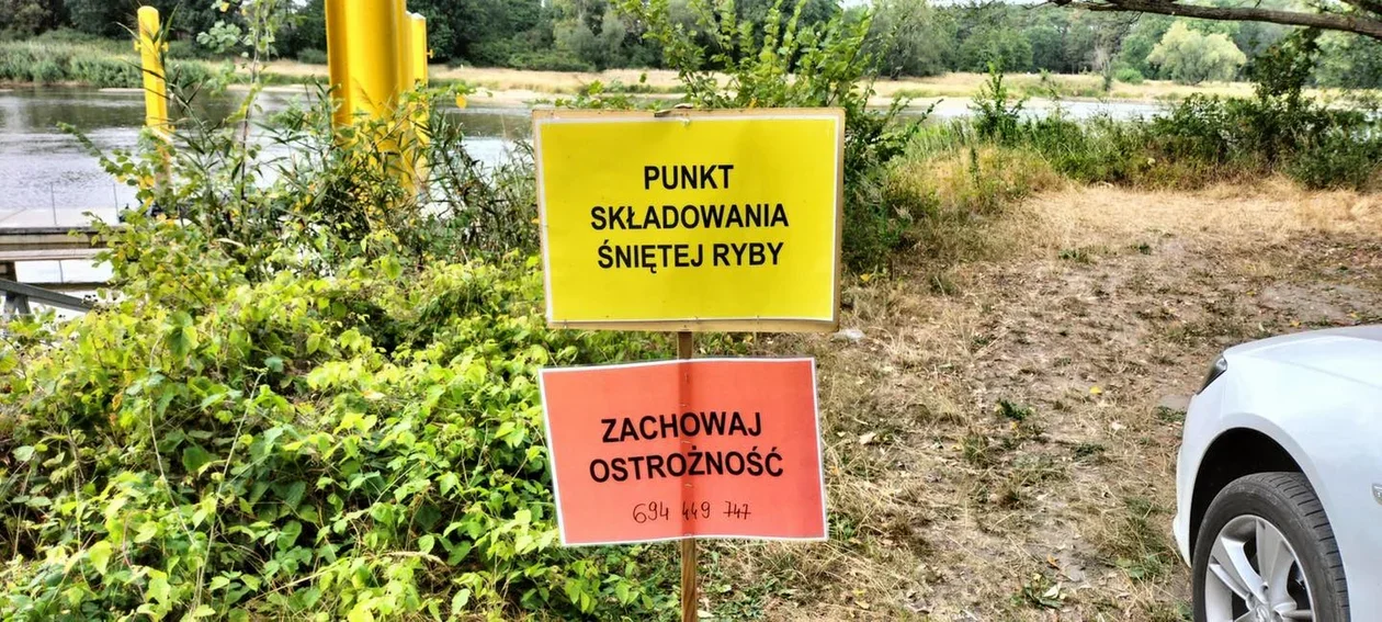 Trwa walka o Odrę