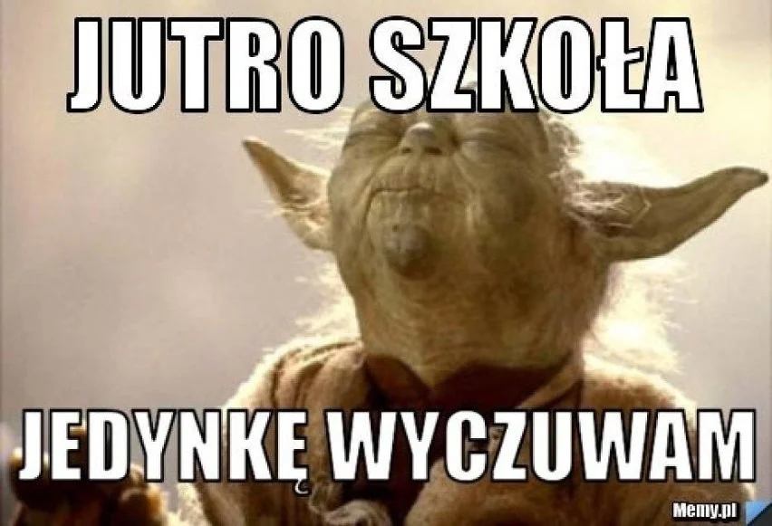 Memy na początek roku szkolnego. 1 września w krzywym zwierciadle