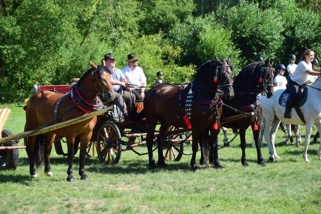 Tłumy na imprezie w skansenie w Kolbuszowej.