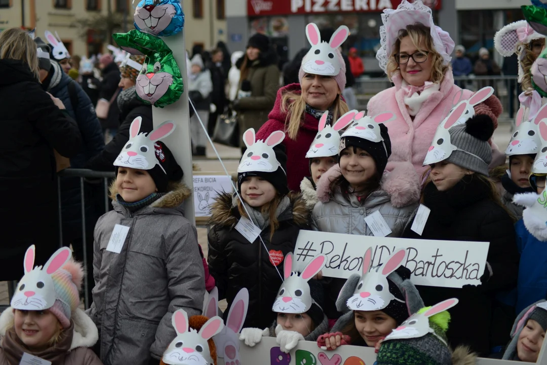 Rekord Polski dla Bartoszka Jędrasika chorego na SMA. W Tarnobrzegu zgromadziło się ponad 500 osób przebranych za króliki