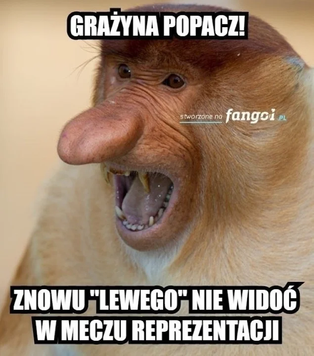 Memy po meczu Polska - Holandia