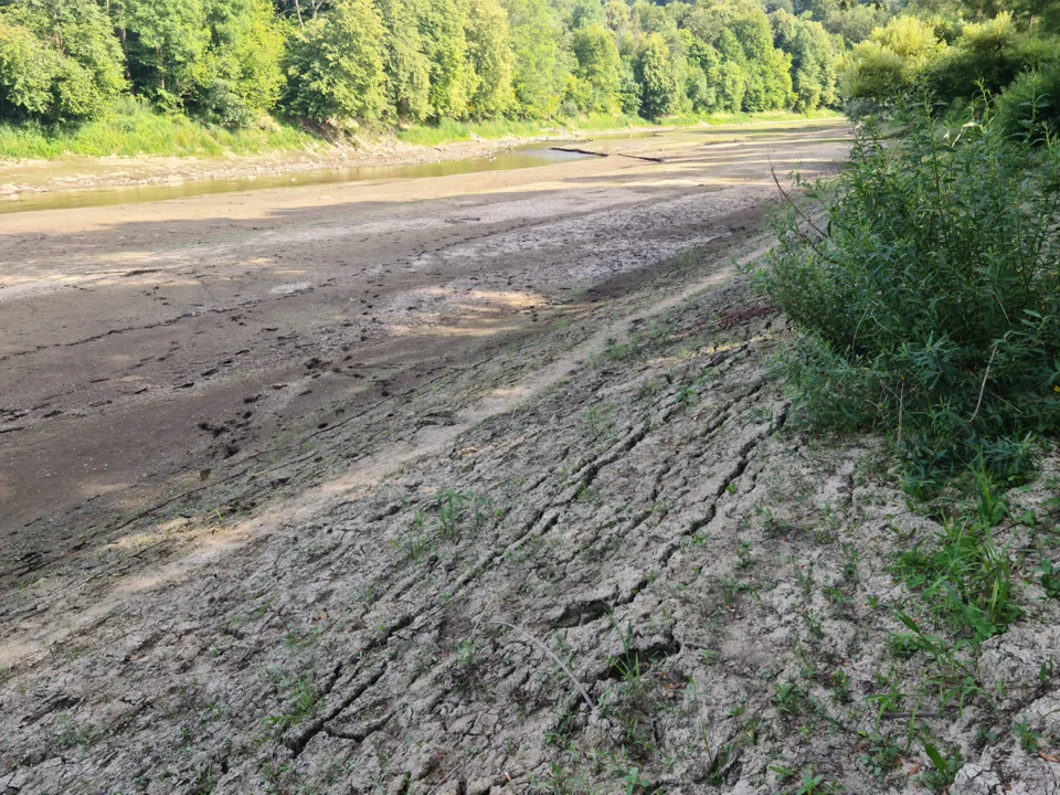 Mało wody w rzekach. W Rajskiem można chodzić po dnie Sanu [ZDJĘCIA+VIDEO] - Zdjęcie główne