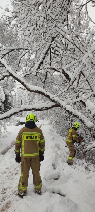 Interwencje strażaków na Podkarpaciu