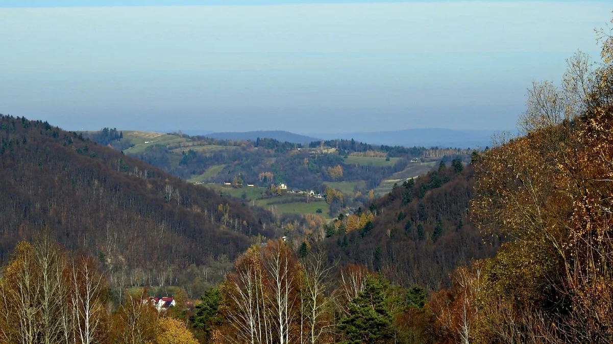 Terka późną jesienią