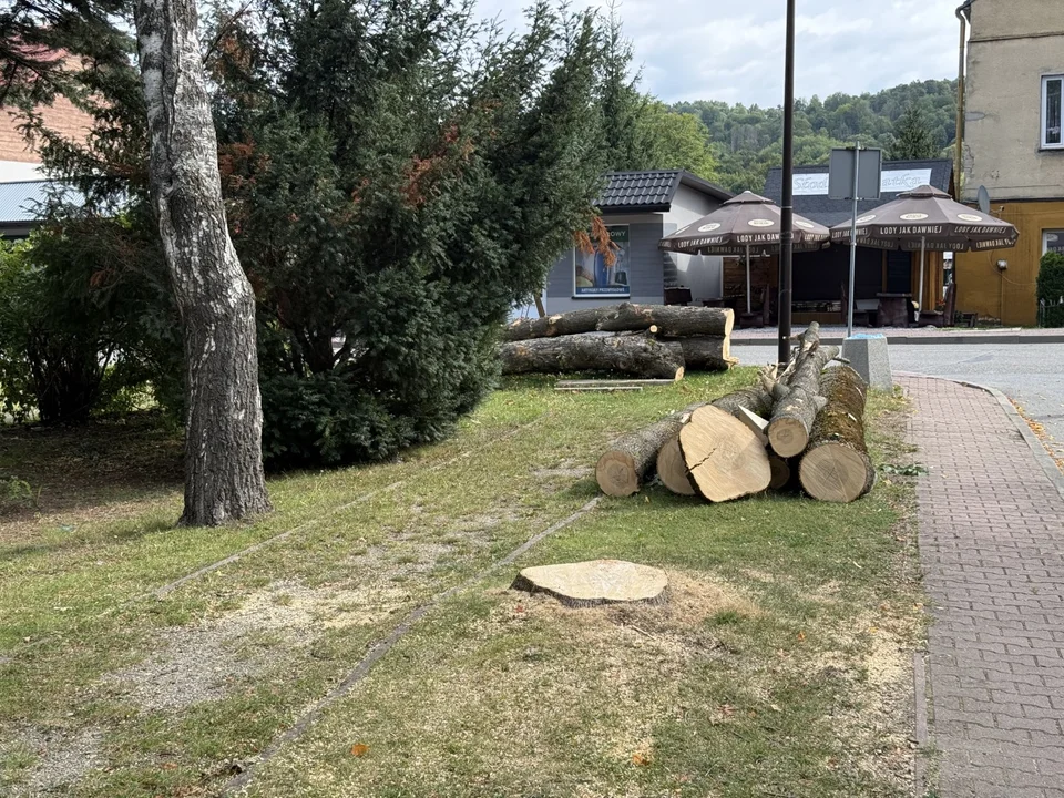 Wycinka drzew w centrum Baligrodu