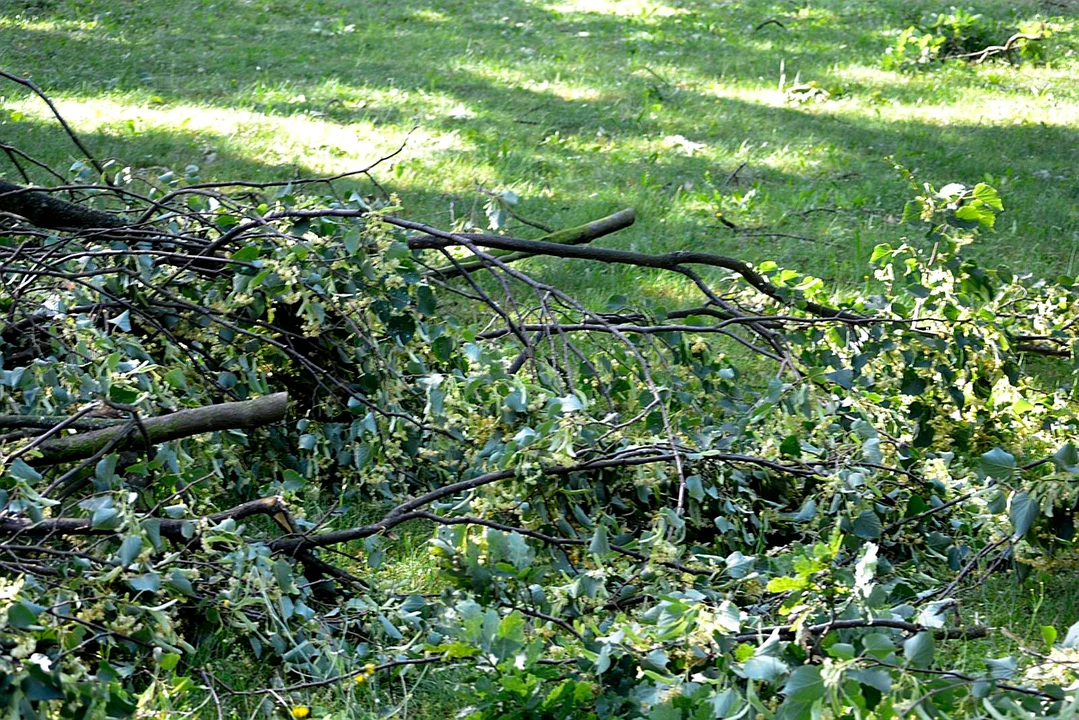 Burza przy ZS im. Groszkowskiego