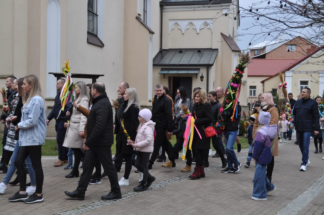 Parafianie w Przecławiu świętowali z pięknymi palmami własnego wykonania