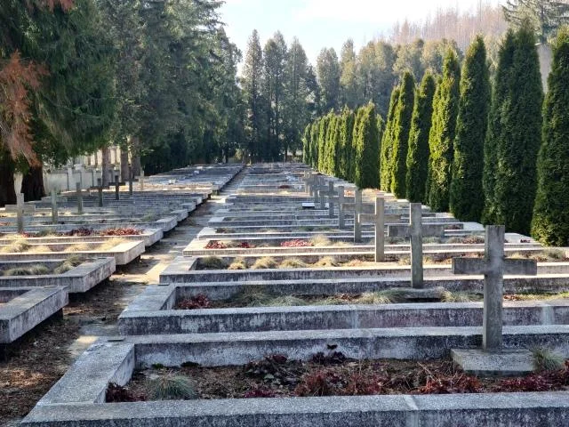 Cmentarz wojenny w Baligrodzie - Zdjęcie główne