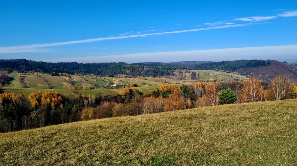 Terka późną jesienią