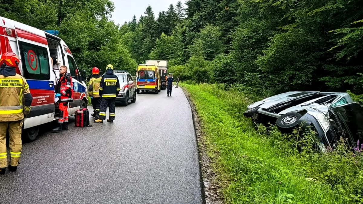 Niebezpieczne zdarzenie drogowe w Braniowie. Bus, w którym podróżowało ośmiu obywateli Ukrainy wjechał do rowu [ZDJĘCIA] - Zdjęcie główne