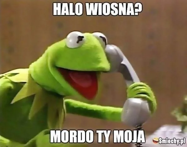 Najlepszy memy na początek wiosny 2024