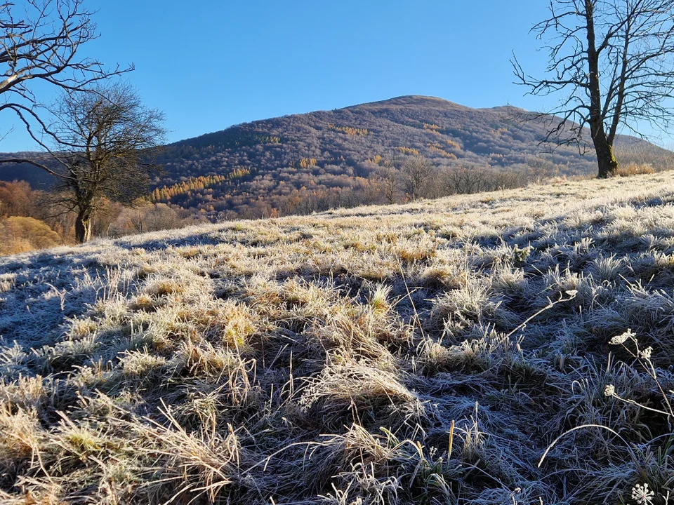 Poranek w Bieszczadach