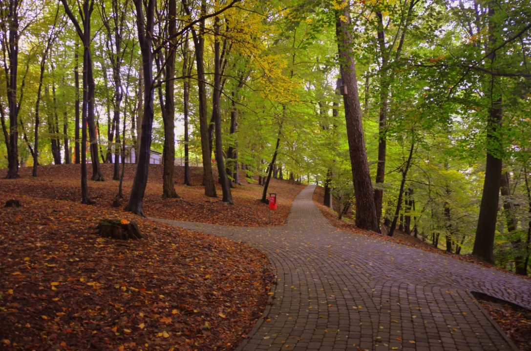 Park miejski w Sanoku jesienią jest piękny! [GALERIA] - Zdjęcie główne