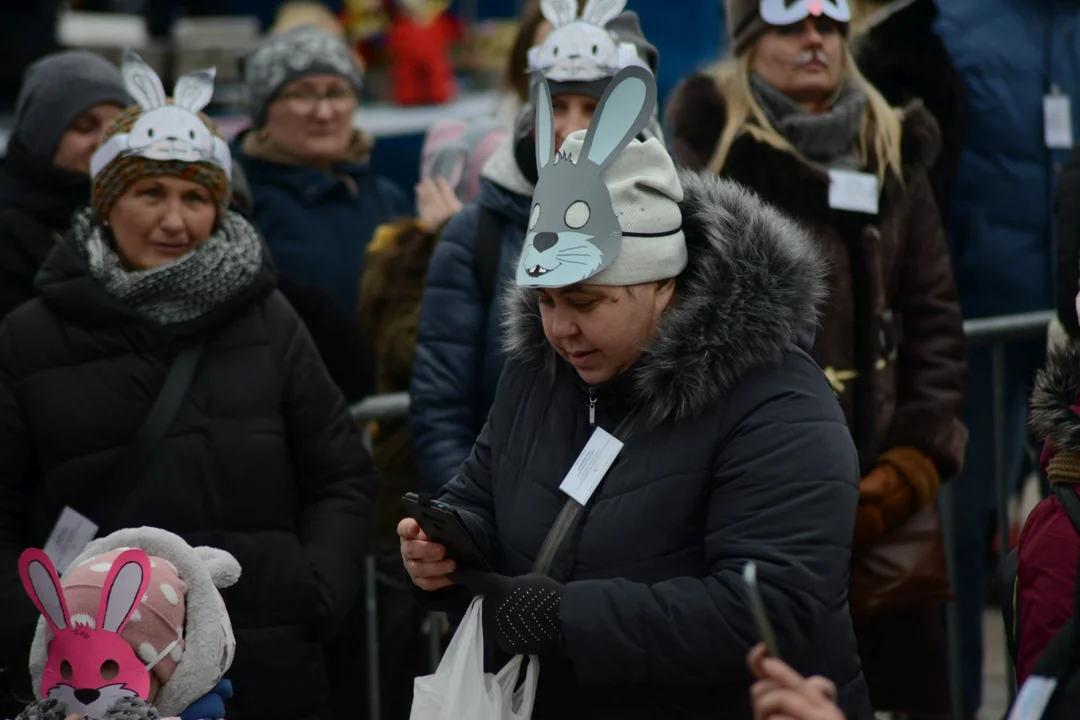 Rekord Polski dla Bartoszka Jędrasika chorego na SMA. W Tarnobrzegu zgromadziło się ponad 500 osób przebranych za króliki