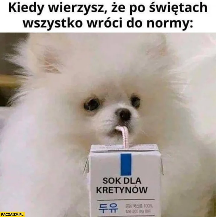 Memy na Święta Bożego Narodzenia