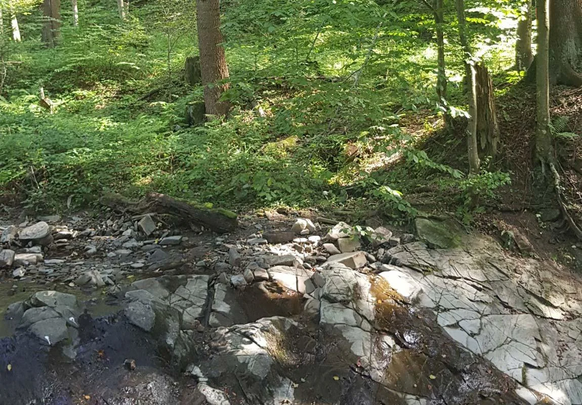 W drodze nad Jeziorka Duszatyńskie