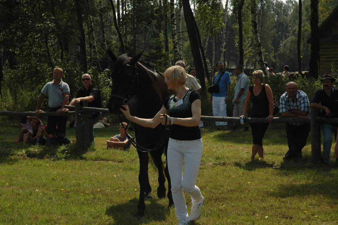 Koń, jaki jest.. - skansen w Kolbuszowej 2011