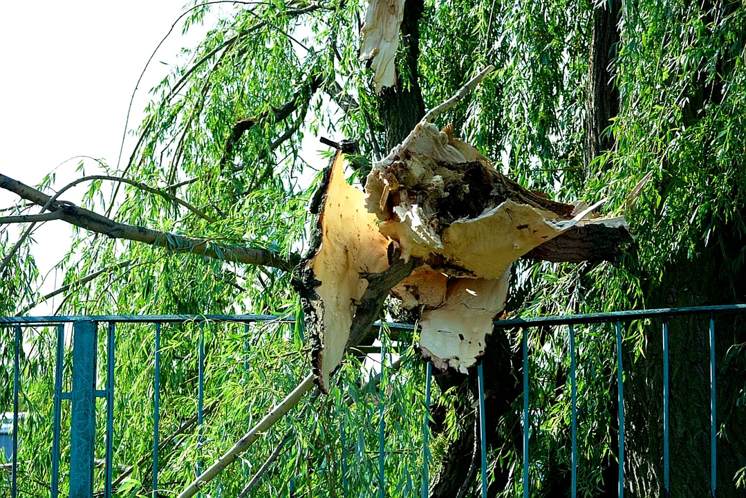 Burza przy ZS im. Groszkowskiego