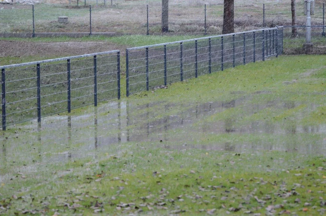 Stadion w Dzikowcu w ogniu pytań. My pytamy, gmina odpowiada. Czy samorząd popełnił błąd? - Zdjęcie główne