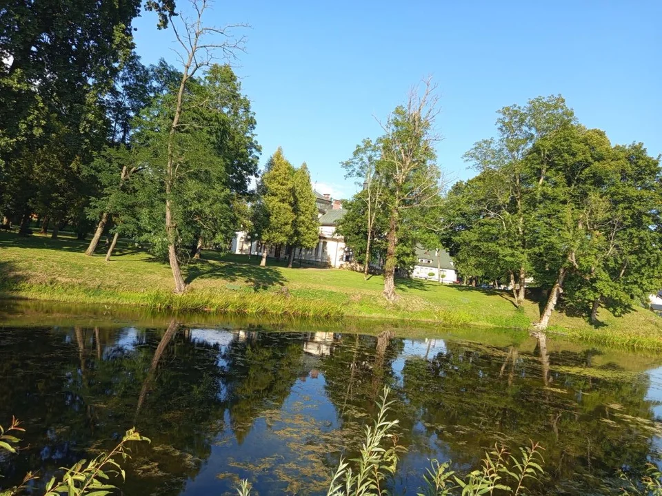Olszanica